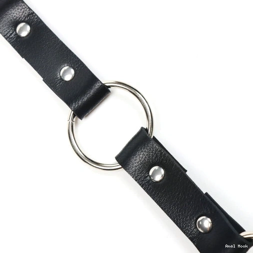 5853 Leash Anal Hook Kinky with Collar and EverydayUse 0211